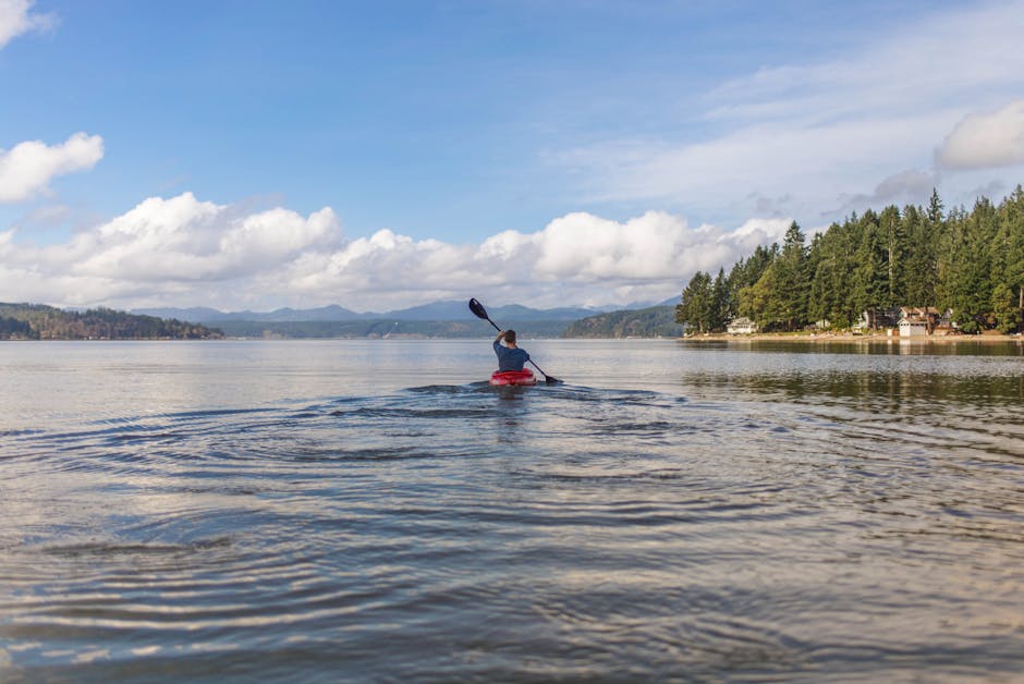 Experience a peaceful kayaking journey on a vast lake surrounded by lush forests under clear skies.