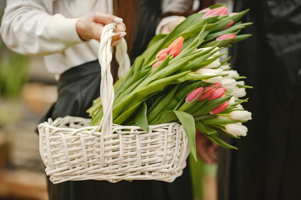 A close-up of a woman holding a basket filled with pink and white tulips, exuding a fresh spring feel.