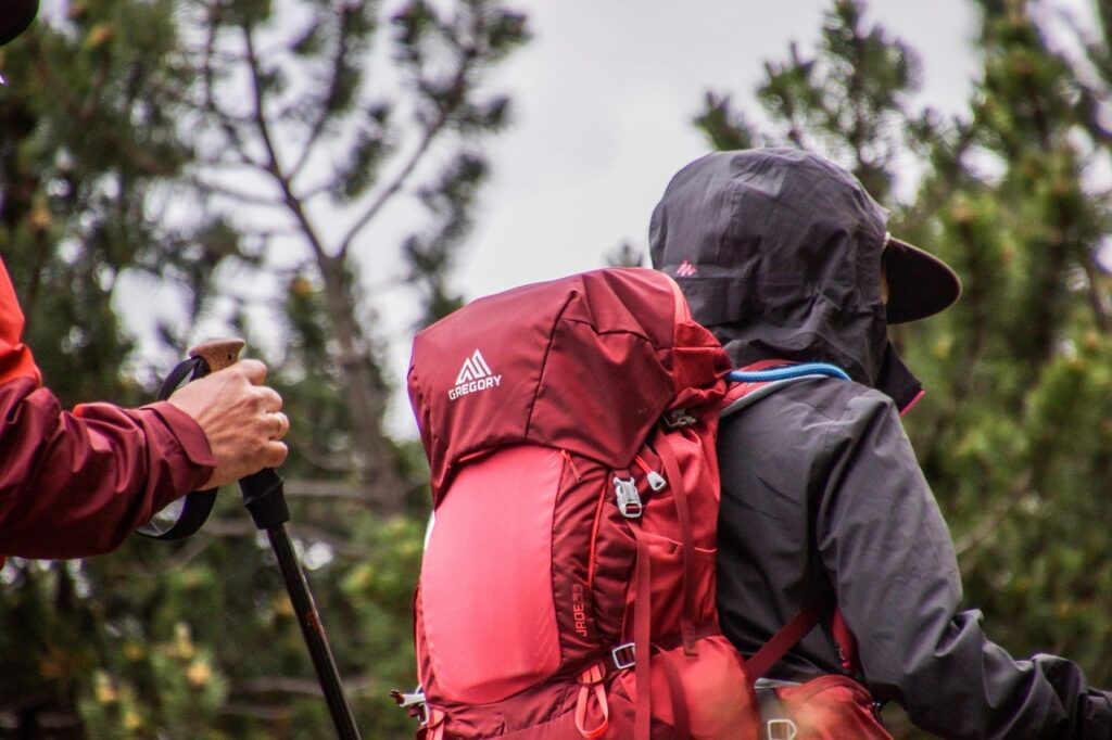 backpack, hiking, trekking, walk, mountain, alps, nature, landscape, trail, excursion, summer, tourism, backpack, backpack, backpack, backpack, backpack, hiking, trekking, trekking