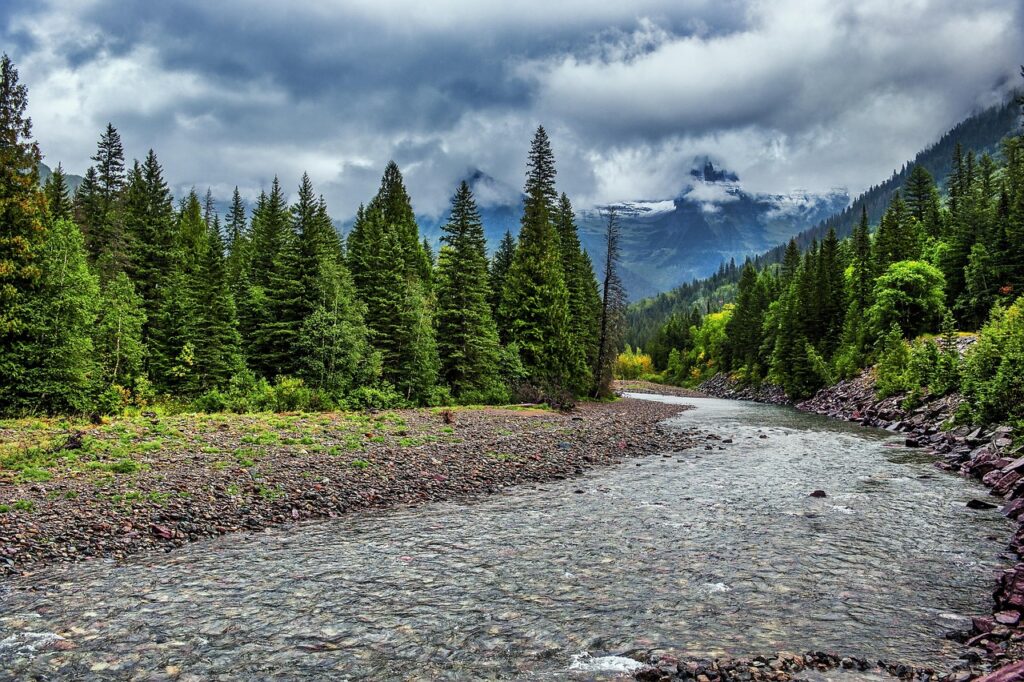 trees, river, nature, mountains, scenic, landscape, glacier national park, stream, forest, montana