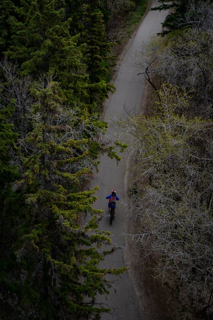Drone captures cyclist riding through a winding forest trail in Edmonton, showcasing adventure and nature.