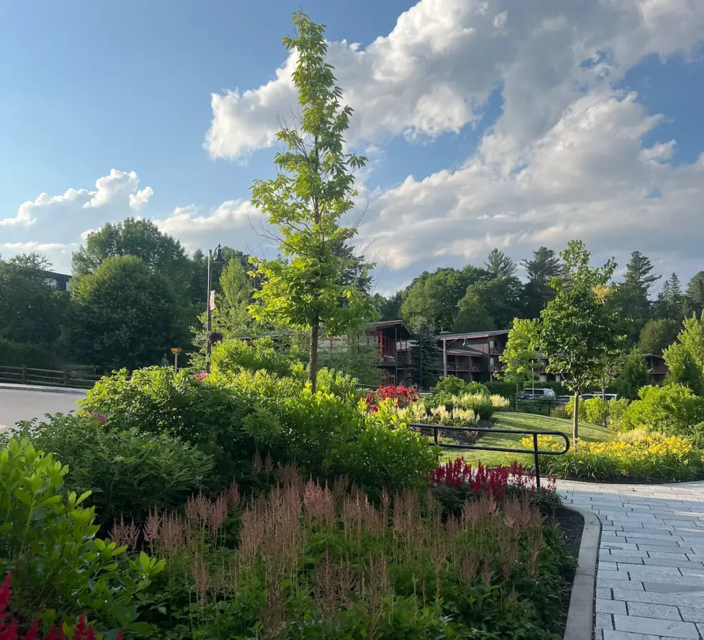 Vibrant flowering plants in the foreground with a lakeside hotel reflected in the still waters of Mirror Lake, Lake Placid, New York, under a clear summer sky.