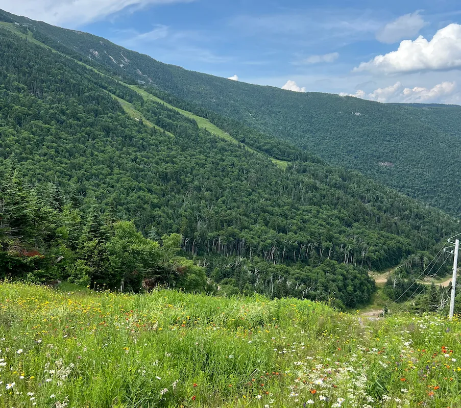 Expansive view from the summit of Whiteface Mountain, with sweeping layers of Adirondack peaks fading into the distance beneath a bright blue sky.