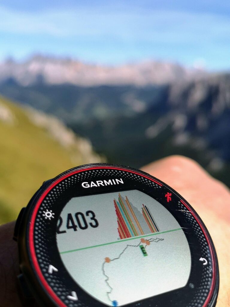 alps, mountain, stopwatch, altimeter, altitude, garmin, watch, wrist, mountains, nature, graphic, outdoors, sport, i walk, trekking, sporty, teraladina, altimeter, garmin, garmin, garmin, garmin, garmin