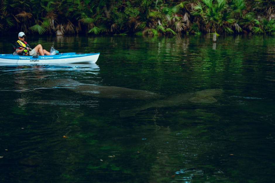 A serene kayaking experience alongside a manatee in a lush, natural river environment.