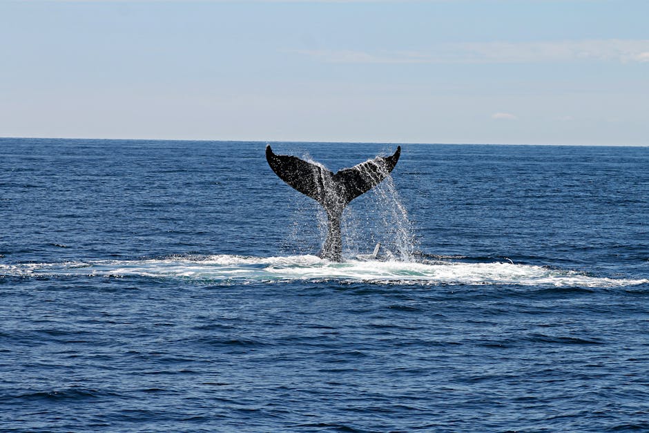 Majestic view of a whale's tail splashing through ocean waters under a clear sky.