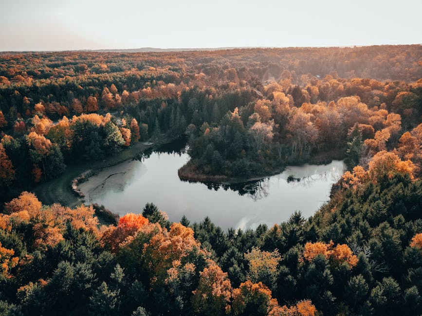 Stunning aerial view of autumn trees surrounding a calm lake in Peninsula, Ohio.
