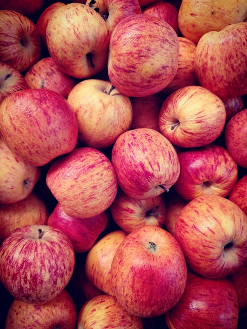 Abundant harvest of ripe apples showcasing vibrant red and yellow hues.