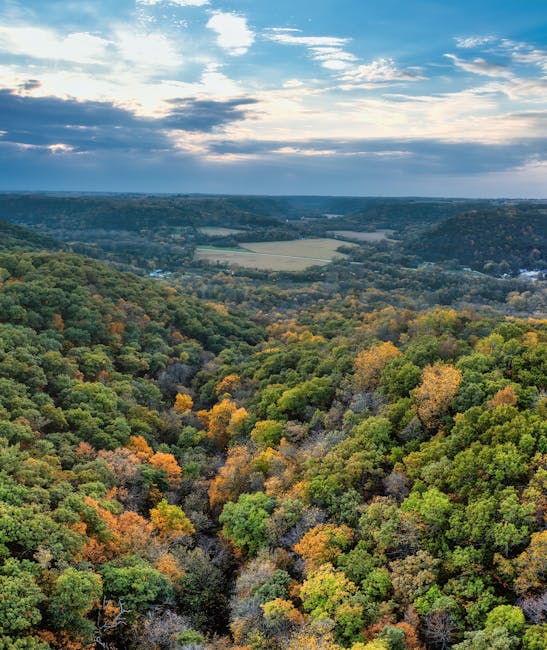 Captivating aerial view of vibrant fall foliage in Elba, Minnesota.