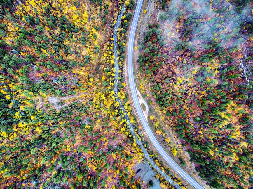 A breathtaking aerial view of a winding road through colorful autumn foliage in Spearfish, South Dakota.
