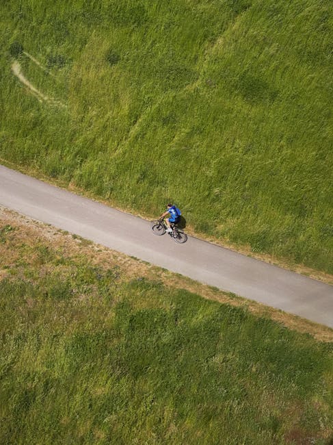 Cyclist rides alone on a serene path surrounded by lush greenery in Berlin.