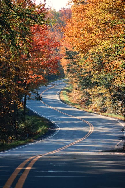 Winding road surrounded by vibrant autumn foliage in Vermont forest, capturing fall's beauty.