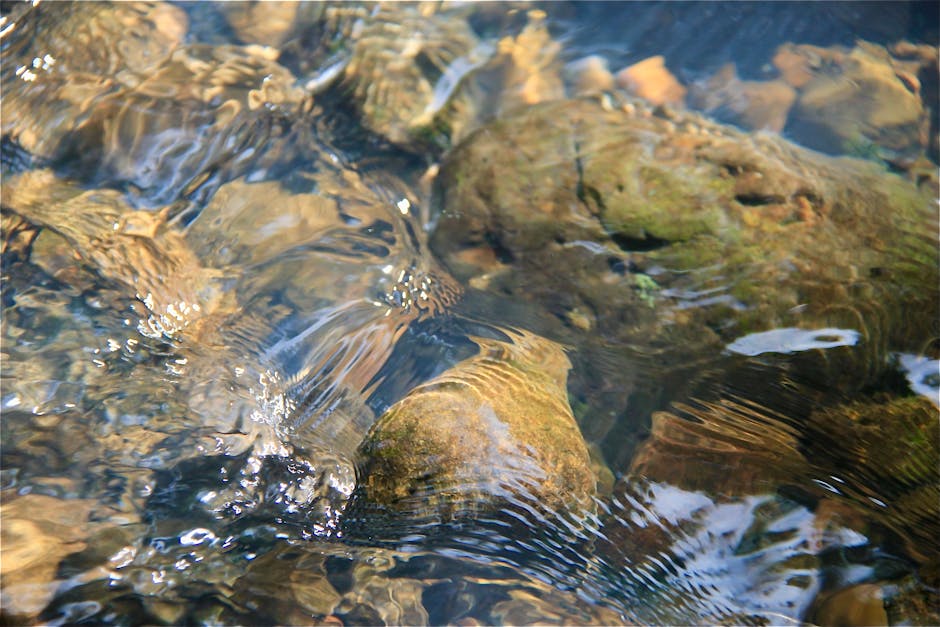 Clear water flowing over mossy stones in a stream, highlighting nature's tranquility.
