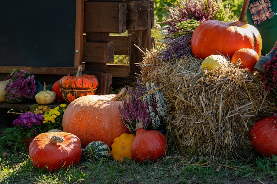 A vibrant collection of pumpkins and flowers arranged on hay bales, perfect for fall harvest celebrations.