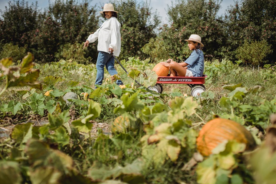 Mother and daughter in a pumpkin patch enjoying a fall harvest day.