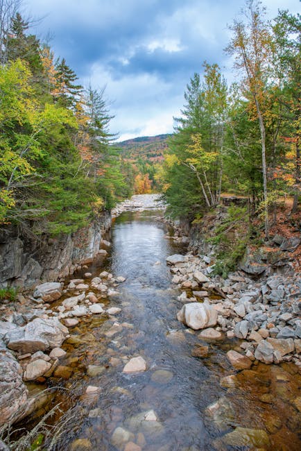Peaceful stream in Franconia, NH surrounded by vibrant autumn foliage and rocky terrain.