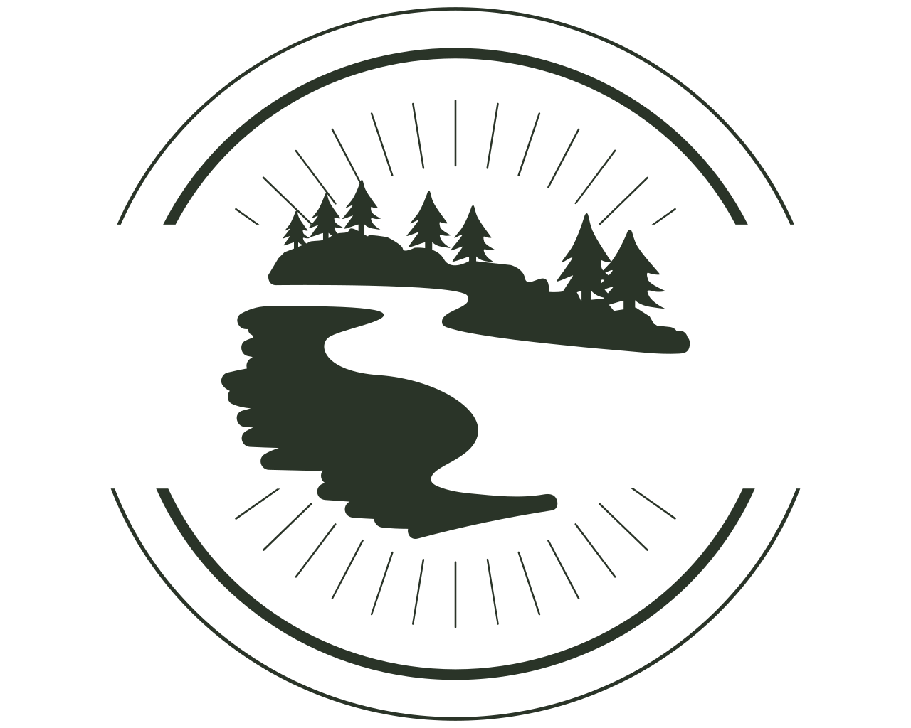 Our Vision