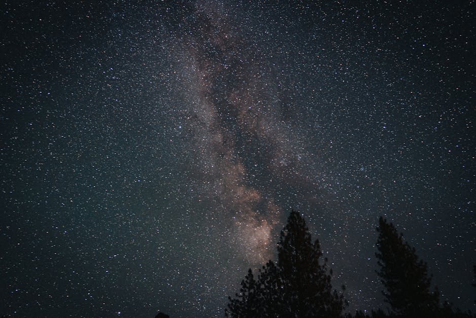 Stunning view of the Milky Way and starry sky above Yosemite National Park trees at night.