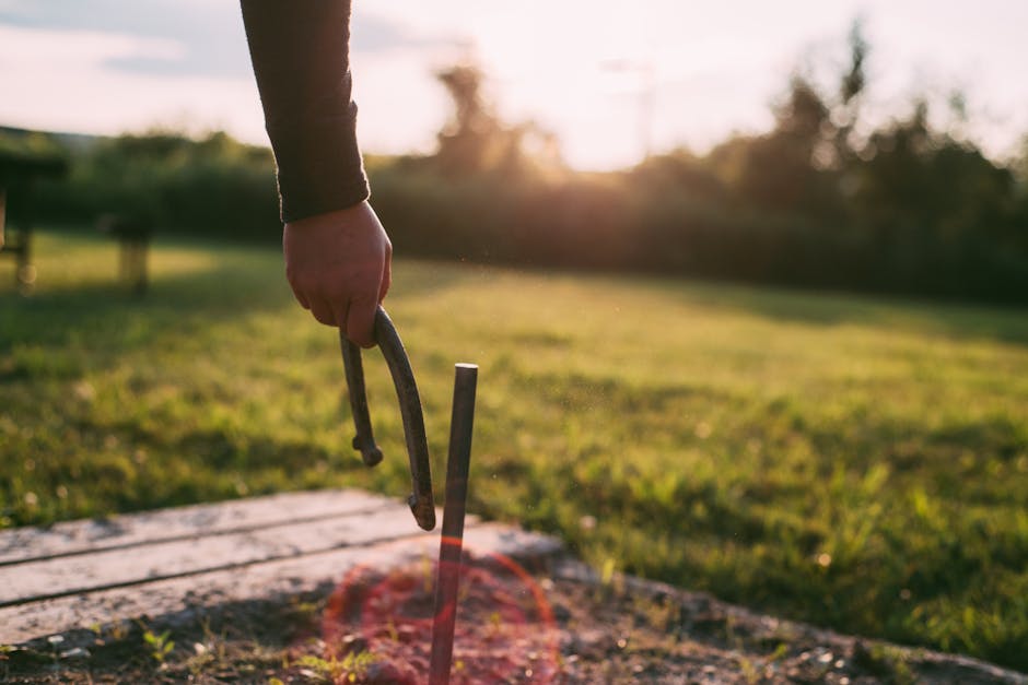 Backyard games: A person throws a horseshoe at a stake on a grassy field during sunset.