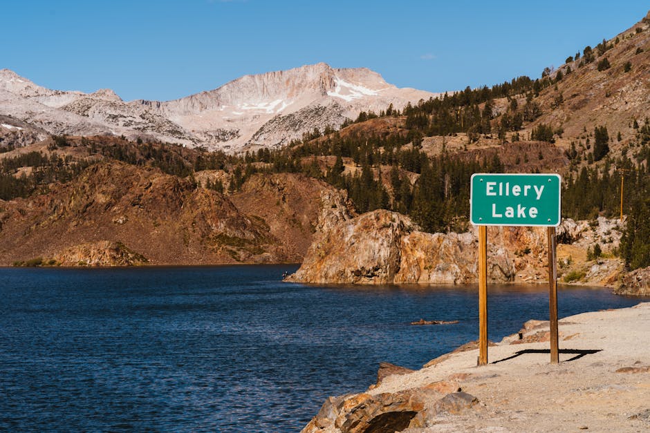 Breathtaking view of Ellery Lake with surrounding mountains in summer sunlight.
