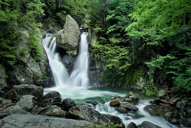 waterfall, water, stream, nature, river, cascade, bish bash falls, motion, flow, woods, new england, rocks, stones, green water, green forest, green news, green waterfall, green river, green rock, green stone, green new, waterfall, new england, new england, new england, new england, new england