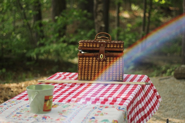 table, cloth, basket, picnic, garden, rainbow, outdoor, trees, stick, nature, picnic, picnic, picnic, picnic, picnic