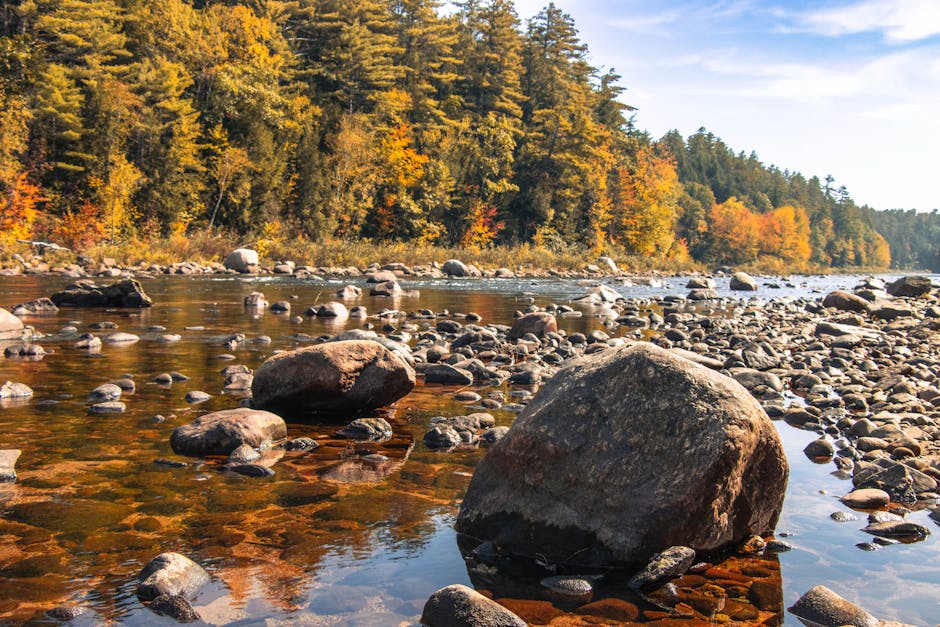 Scenic autumn view of a river with rocks and colorful foliage in Campton, New Hampshire.