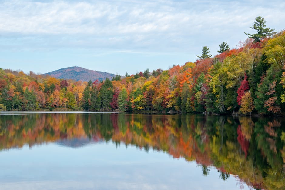 Gorgeous fall foliage reflecting in a tranquil Vermont lake, showcasing vibrant autumn colors.