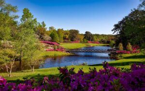 Read more about the article The Science of Why Nature Makes Us Happier and How to Feel the Benefits Every Day