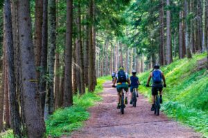Read more about the article The Top 10 Biking Trails in North America: Ranked by Scenic Beauty, Difficulty, and Amenities