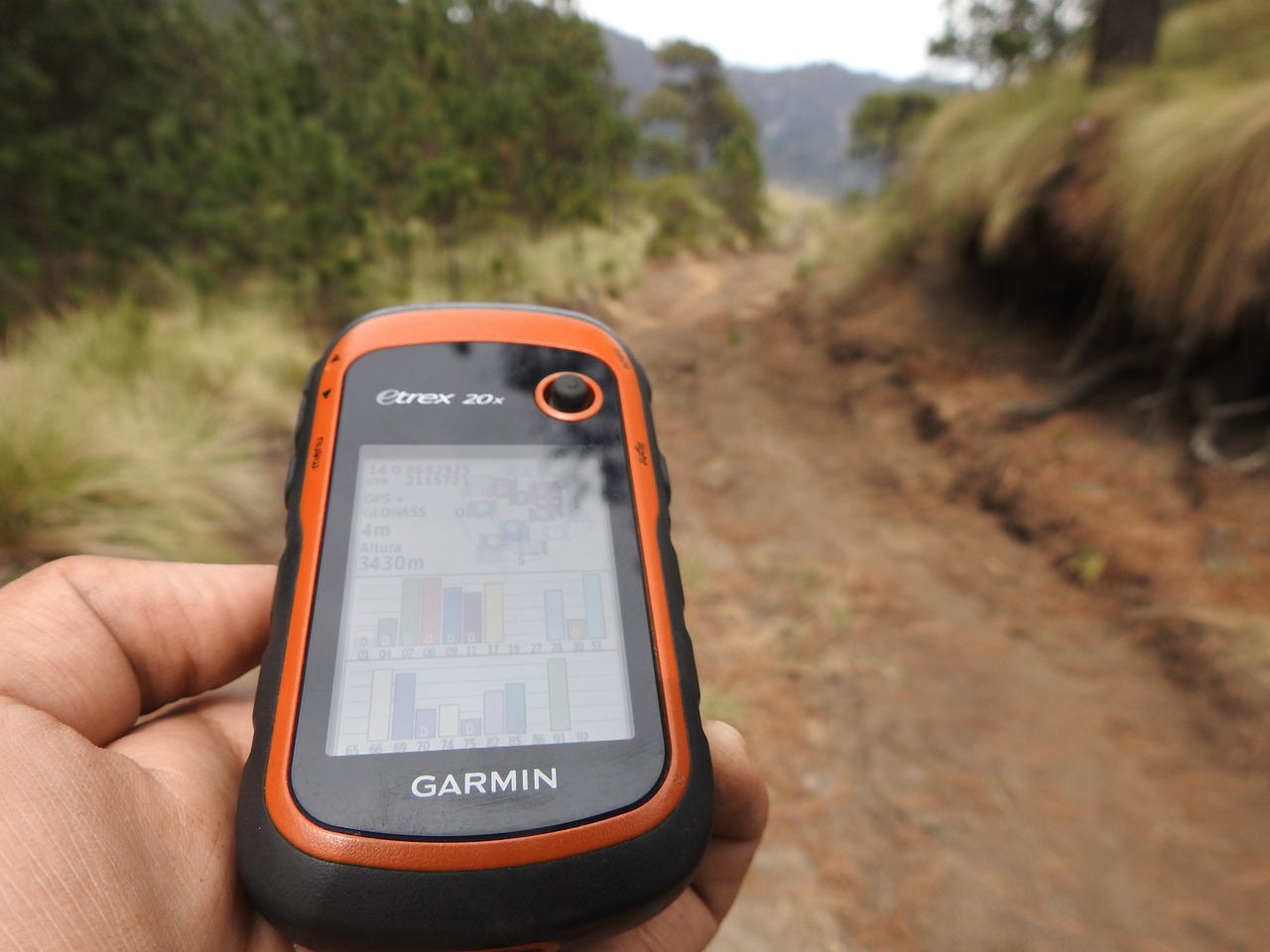 You are currently viewing How to Start Geocaching: A Beginner’s Guide to Your First Adventure