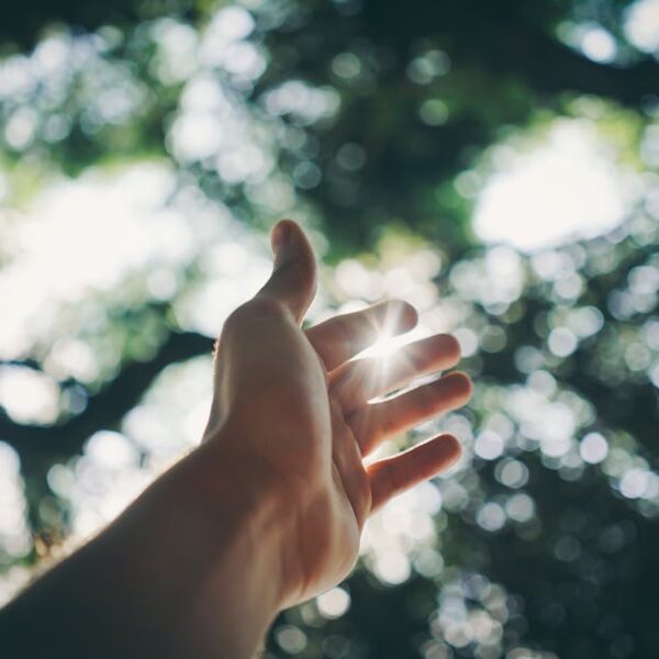 A hand reaching towards the sky, capturing sunlight in a lush forest setting.