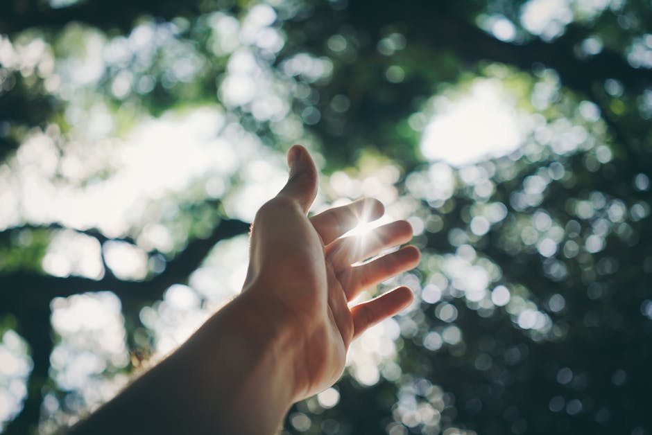 Read more about the article Outdoor Fitness: How Hiking Builds Strength and Stamina Naturally