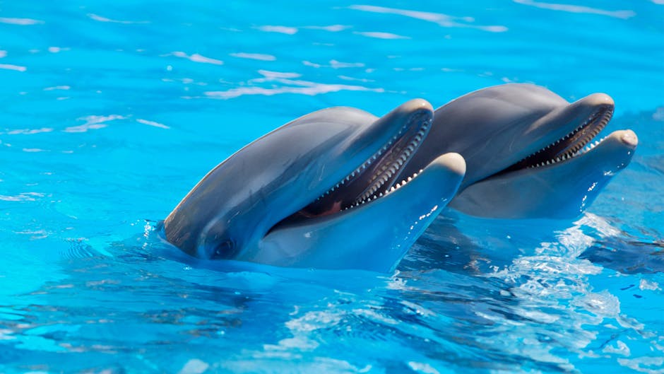 Read more about the article Where to Kayak with Dolphins, Manatees, or Sea Lions: Top 7 Destinations for Wildlife Lovers