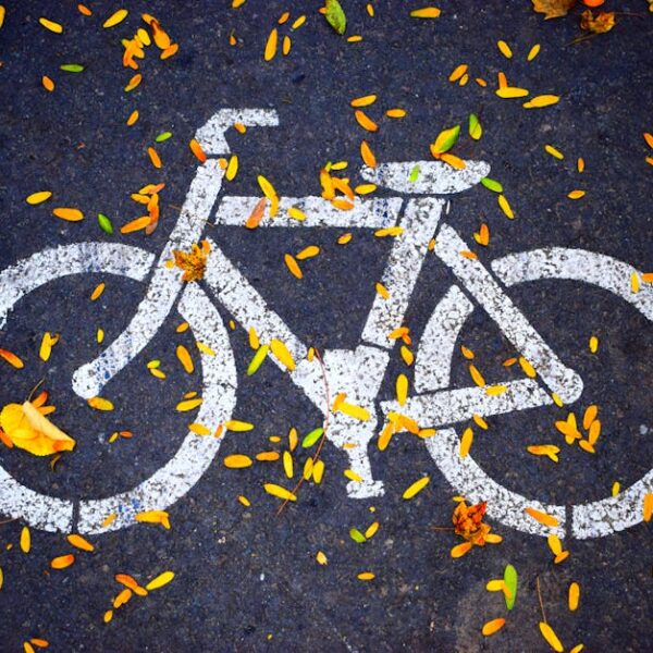 A bicycle lane symbol painted on an asphalt road covered with colorful autumn leaves.