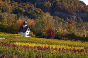 Read more about the article Luxury Outdoor Getaways That Embrace Fall: Top Destinations and Unique Experiences