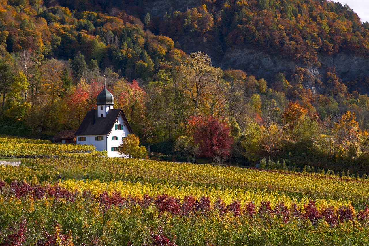 You are currently viewing Luxury Outdoor Getaways That Embrace Fall: Top Destinations and Unique Experiences