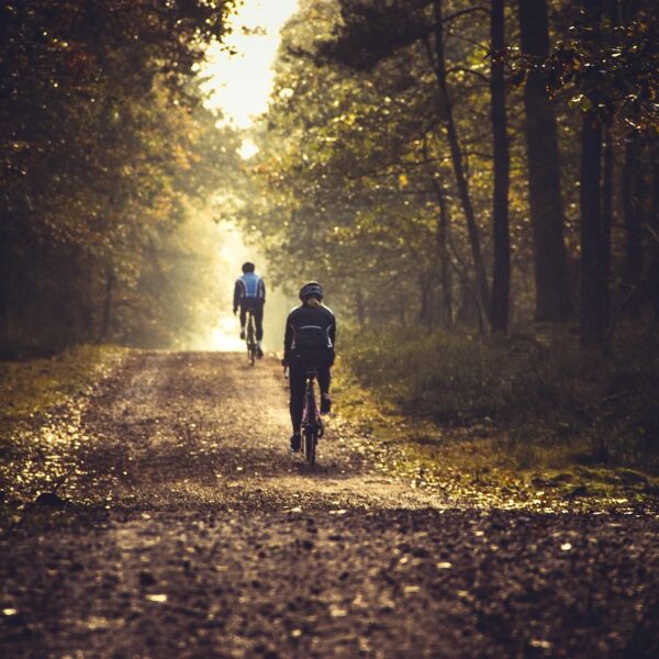 cycling, bicycle, mountainbike, nature, landscape, forest, sun, autumn, cycling, cycling, bicycle, mountainbike, mountainbike, mountainbike, mountainbike, mountainbike