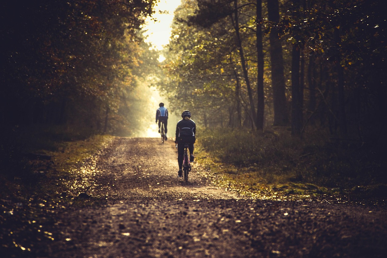 You are currently viewing Best Rail Trails for Autumn Bike Rides: Top North American Routes