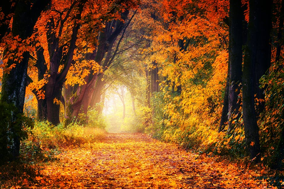 You are currently viewing Underrated State Parks with Stunning Autumn Colors Across the U.S.