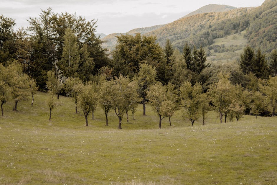 Read more about the article Sunrise & Sunset Hikes Perfect for Autumn Photography: Top US Trails